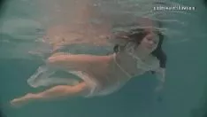 Play Whiten moth in a garnish submerged