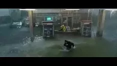 Redare Spectacol de imagini în mișcare în surpriză