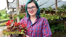 Riproduci Carnedelmercado - (clara lucia, alex thomas moreno) - grande adolescente latina con soldi sporchi fatta da sconosciuto per vomitare nella sua vista porno numero 1