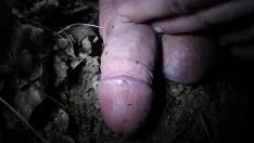 Putar Semut di sepatu karet