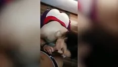 Играть Стволы, которые я собираюсь взорвать.