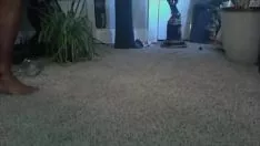 Reproduzir Descobrir o pock