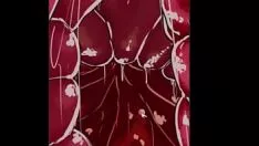 চালান Vore sim - toriel window