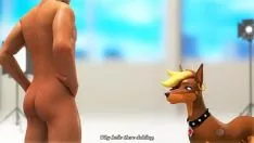 Abspielen Numberndo a cachorra
