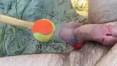 تشغيل فحص اللثة بنيامينبيل sashay والمكسرات مع بلدي "bonger"