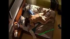 播放 与墨西哥人的亚洲口头禅
