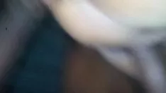 Reproduzir Shut jabbing