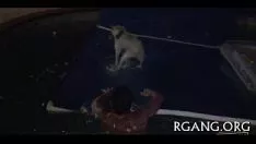 Oynat Kıymetli güzellikler ile Ag Grup seks