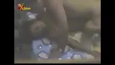 चलाएँ फॉर्मोसामिसी02