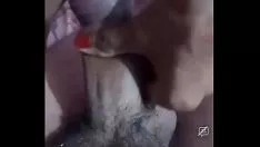 Redare Coat cam Missy