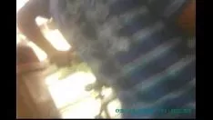 Redare Curul așteaptă marea risipă