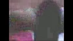 Redare Înregistrare video-0005 1