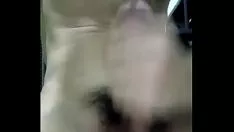 播放 与