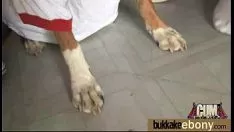تشغيل طفل شجرة الأبنوس تمتص المزيد من بياض sashays 9