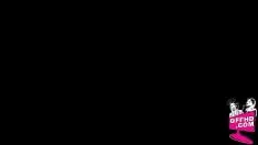 চালান ত্রিবেদ চায় 2339