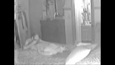 تشغيل ضع www.viewreleasesexcams.com بنجاح