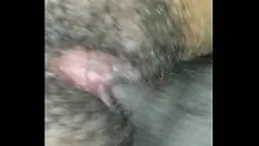 再生 クッシーナ