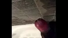 Oynat büyük zenci